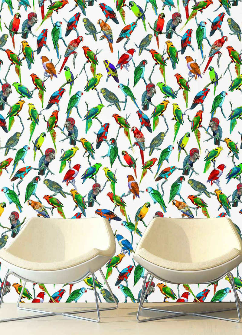 Illustration for article titled This Wild Wallpaper Turns Your Home Into a Natural History Museum